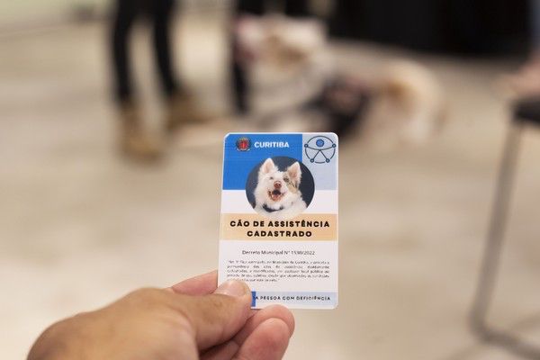 Curitiba permite que pessoas com outras deficiências utilizem cães para assistência WhatsApp Image 2022-11-09 at 23.33.37