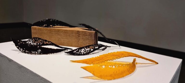 Exposição Amazônia usa técnica de obra sem vidro celular. Obras estão em exposição no MuMa