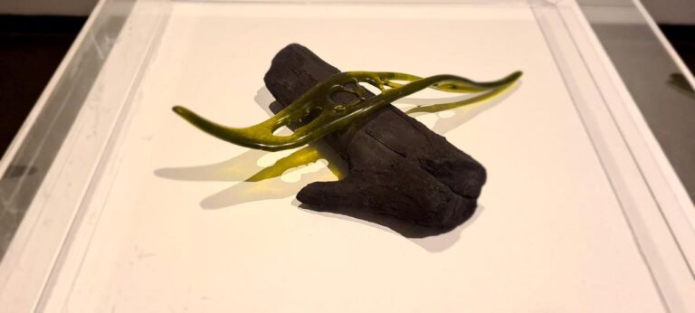 WhatsApp Image 2023-03-23 at 06.18.14