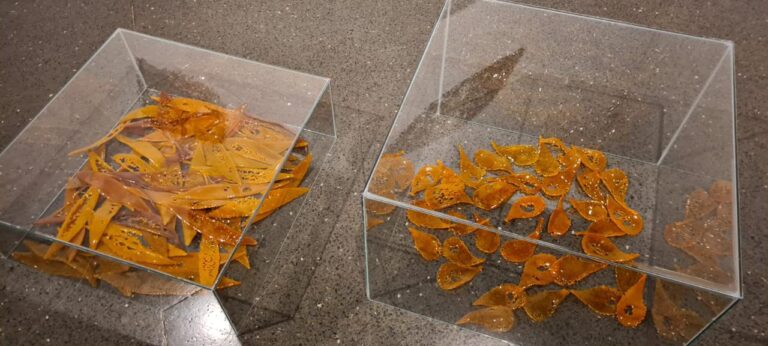 WhatsApp Image 2023-03-23 at 06.18.15 (1)